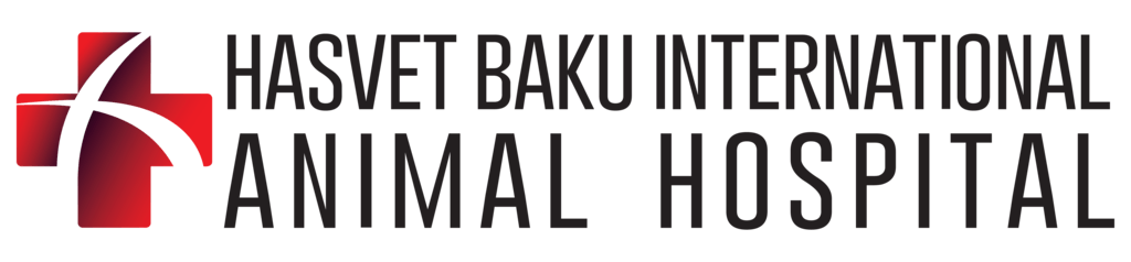 Logo, hasvet baku international animal hospital